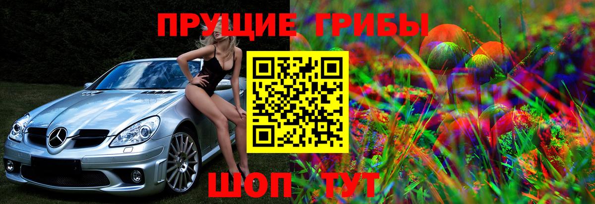 Галлюциногенные грибы мухоморы  Псилоцибиновые грибы мухоморы  Шуя  Вход с VPN 